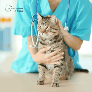 Scopri di più sull'articolo Detrazione spese veterinarie 730/2025: cosa puoi scaricare per i tuoi animali domestici