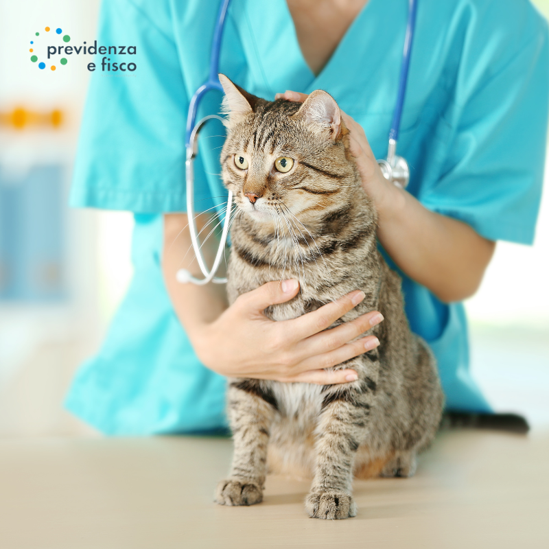 Al momento stai visualizzando Detrazione spese veterinarie 730/2025: cosa puoi scaricare per i tuoi animali domestici