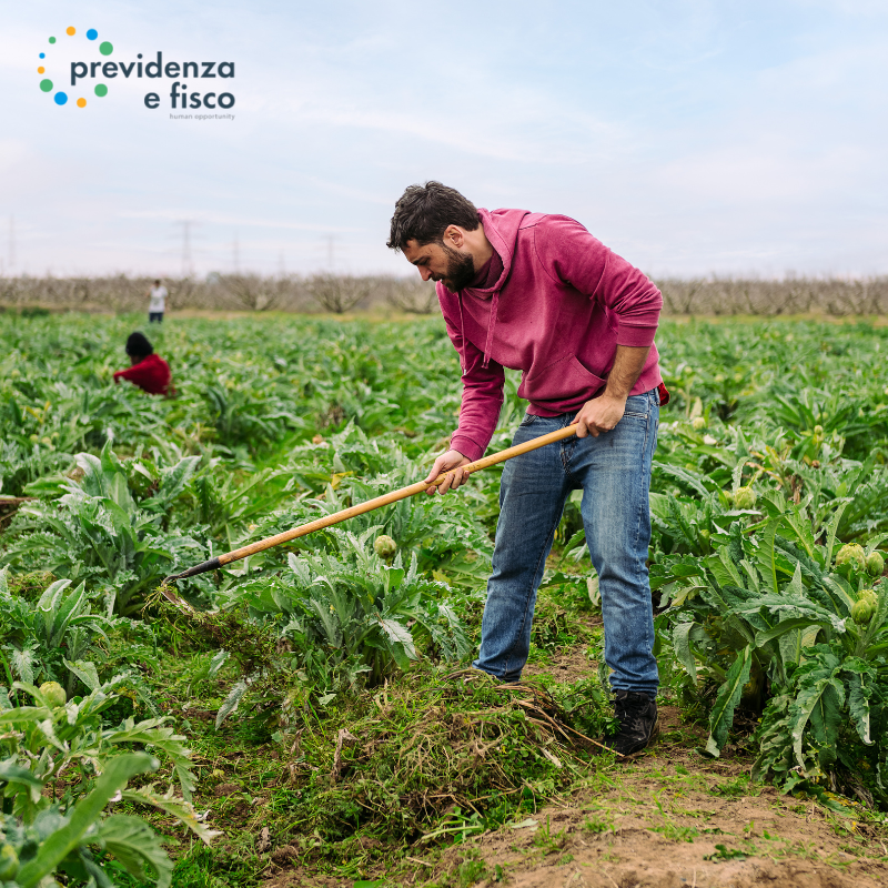 Scopri di più sull'articolo Elenchi agricoli: cosa sono, a cosa servono e perché sono fondamentali