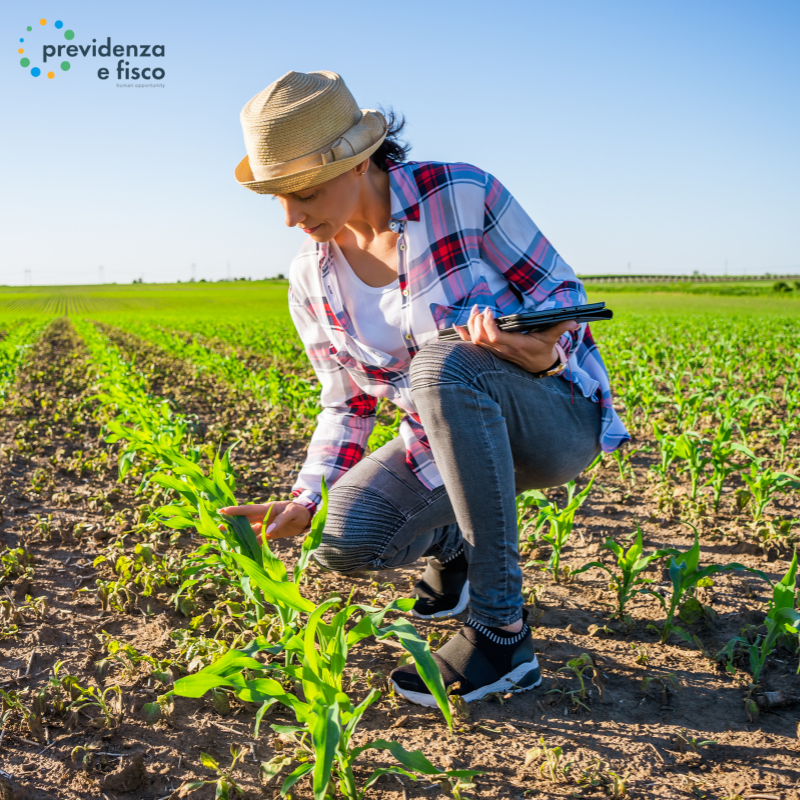 Scopri di più sull'articolo Disoccupazione agricola: chi ne ha diritto e chi resta escluso