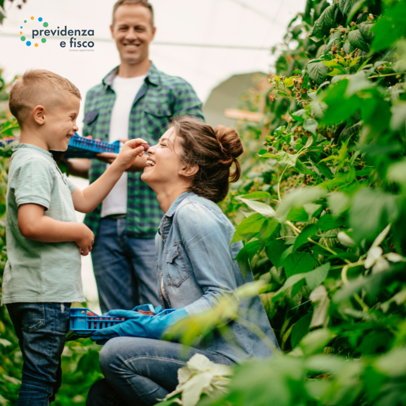 Scopri di più sull'articolo Disoccupazione agricola e ISEE: incide sul reddito familiare?