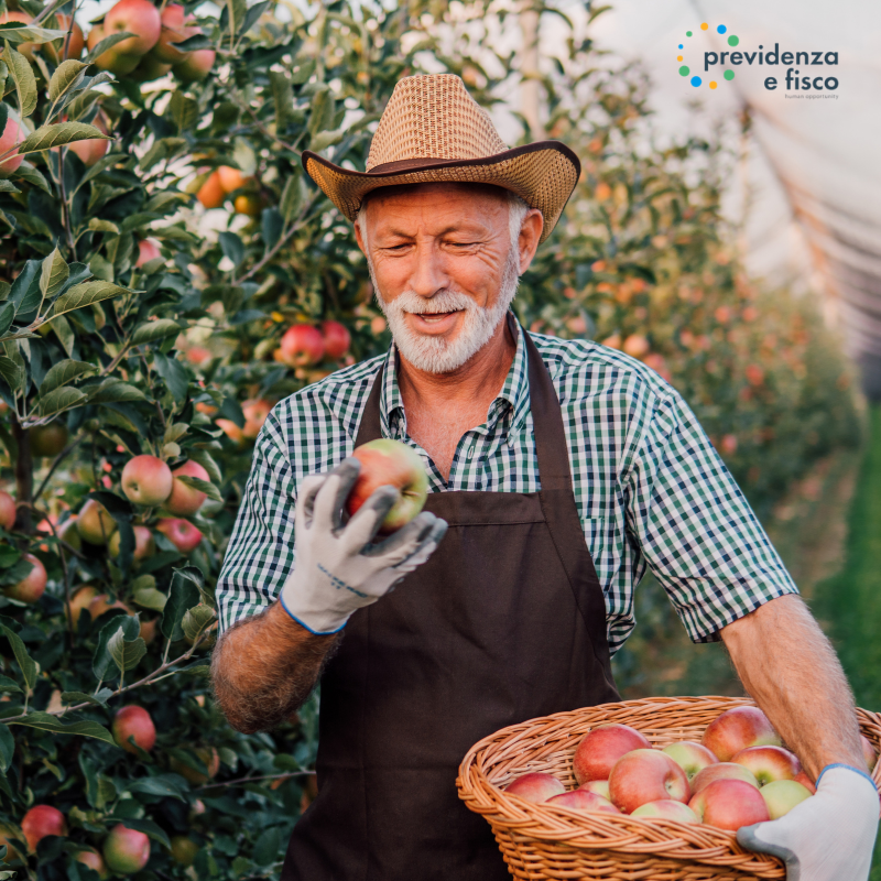 Scopri di più sull'articolo Disoccupazione agricola per i lavoratori stagionali: come fare domanda se si è a tempo determinato